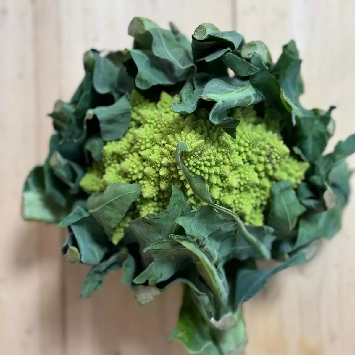 Chou Romanesco